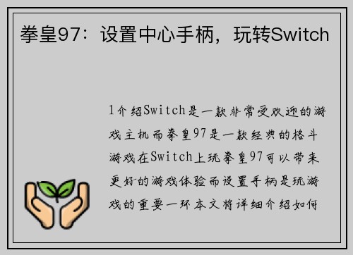 拳皇97：设置中心手柄，玩转Switch